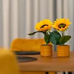 Luxury Town Center Suite, Β1